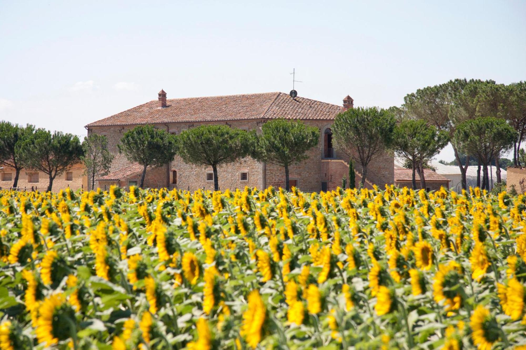 Terra Di Cortona Exterior foto
