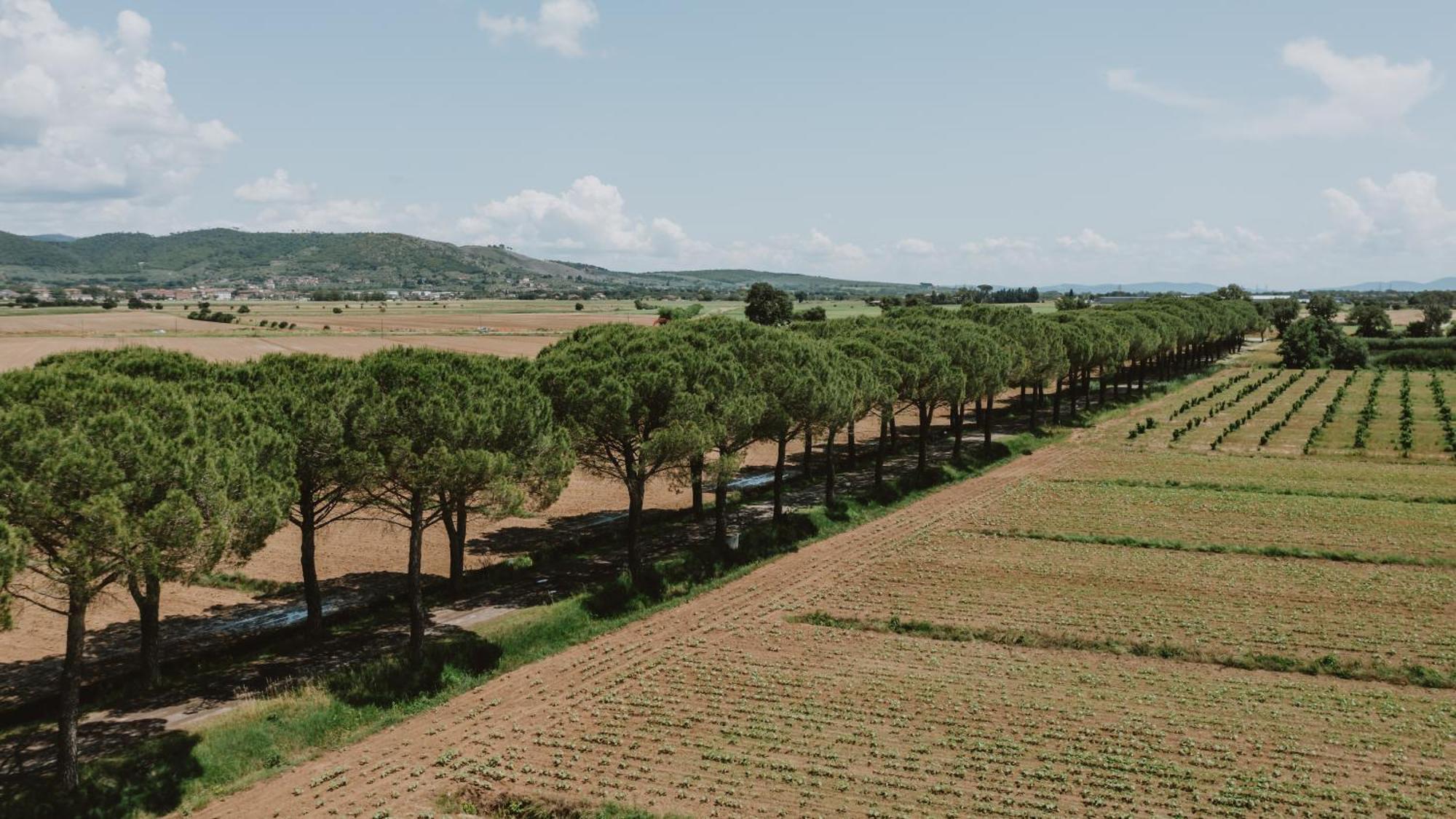 Terra Di Cortona Exterior foto