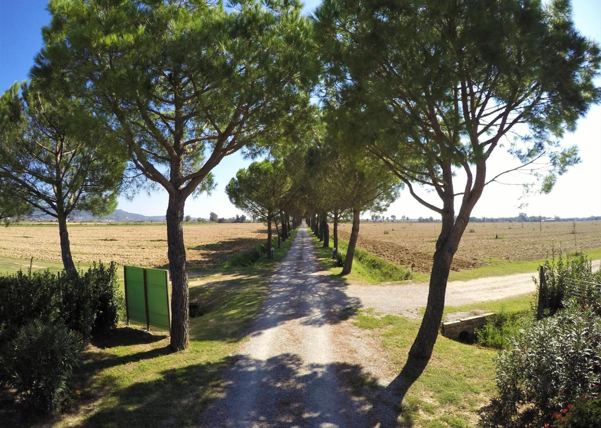 Terra Di Cortona Exterior foto